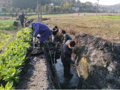 上栗县高规范农田清淤疏浚备春耕