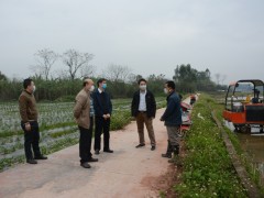 市农业农村局到钦北区反省春耕备耕任务