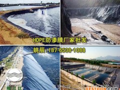 泥鳅养殖专用膜施工