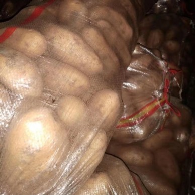 [供]供应土豆,日照市岚山碑廓镇