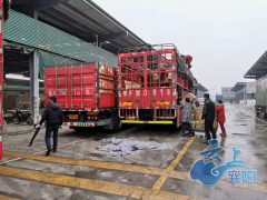 目前襄阳各类农产品供应充足-襄阳晋中市农业农村局