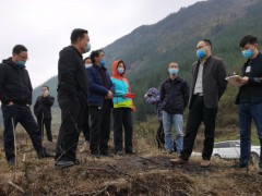 贵州省农推总站赴纳雍县展开中药材产业项目反省指点义务