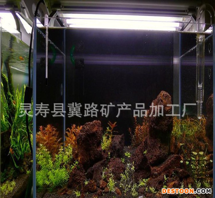 天然红色火山岩罗非鱼诱色 水族造景（浮石）