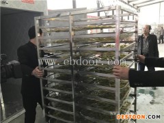 黄花菜烘干机加工怎么运行-河南国信机械-黄花菜烘干机加工