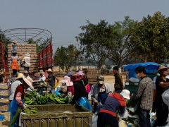 为打好疫情防控阻击战，蕉农们停止着爱心捐赠