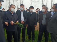 全市春季农业消费现场会在昌邑召开