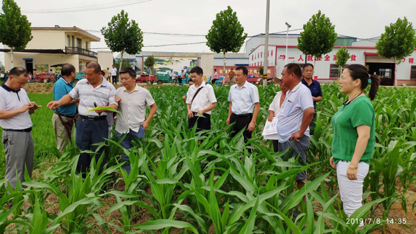 201907101036174657_OrickcyF.jpg 11111.jpg