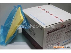 十堰食用油回收电话-硕达回收(图)