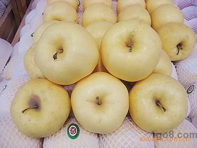 绿色无公害优质金帅苹果（图）服务质量一流