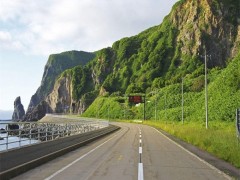 长沙高速不好浇水的边坡要用什么草籽来复绿？