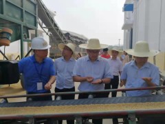 九江农业信息网,市指导到柴桑区调研早稻收买任务