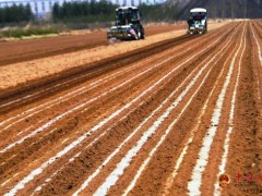 迁安：规模运营土地 助力乡村复兴