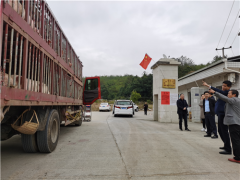 省植物卫生监视所吴顺意所长来岩展开生猪定点屠宰和病死猪无害化处置义务专项调研