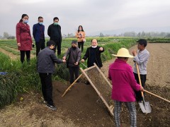 西乡：晋中市农技中心指点来县反省指点春季农业消费义务