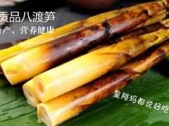 田林八渡笋 - 百色特产