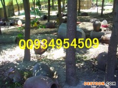 安康农村特种养殖销售