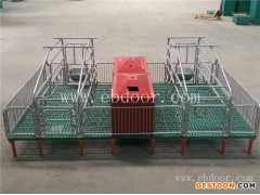 淄博高床分娩栏供应商