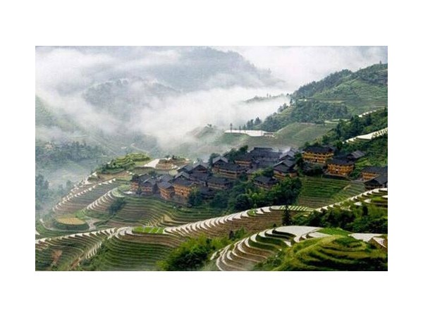 石台县源头茶叶专业合作社