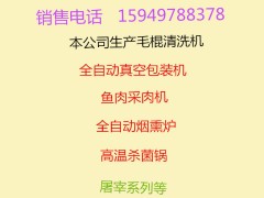 盛盈1000洗红薯机器 马铃薯清洗机 土豆清洗机 毛棍电动清洗机 蔬菜清洗机 土豆清洗去泥机 扇贝清洗机 清洗机