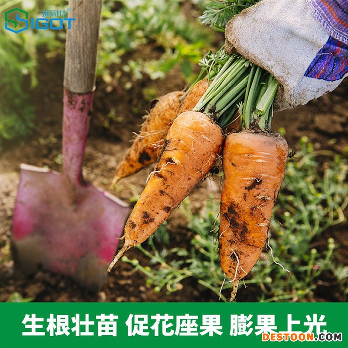 厂家供应蔬菜叶面肥 生理克绿葡萄专用肥料 桶肥冲施肥