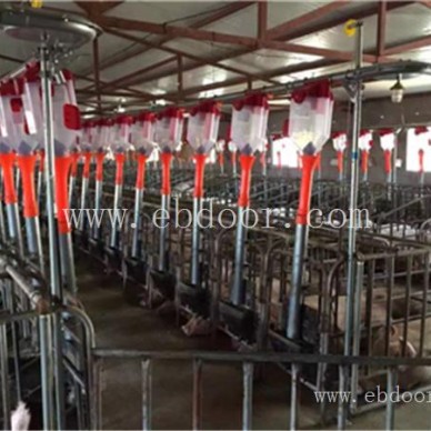 猪舍自动喂料设备选哪家-牧鑫养殖设备-南京猪舍自动喂料设备