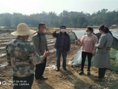 农技下乡助春耕