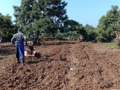 泸州：农机助耕合理时