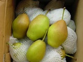 供应红香酥（河北特产）