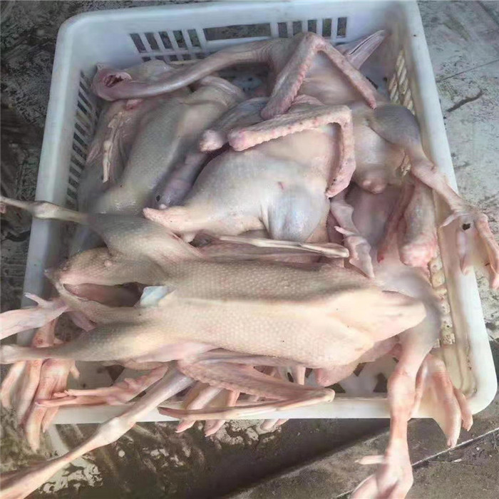 直销白条鹅厂家  鲜白条鹅批发 老鹅价格 营养健康白条鹅 肉鹅