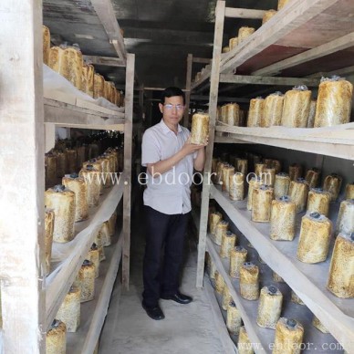 桑黄种植培训-桑黄种植-长程天麻桑树桑黄基地(查看)