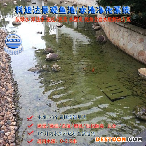 选择锦鲤鱼池过滤器,科旭达锦鲤循环处理泉州别墅庭院锦鲤池水质处理鱼池生物净化系统