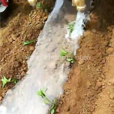 丹参种植机厂家直营-军岩移栽机(在线咨询)-长春丹参种植机