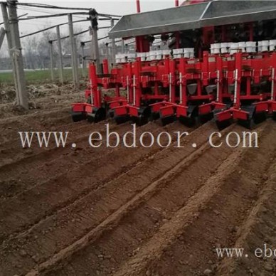 甘蓝种植机厂家直营-军岩移栽机-东城街道甘蓝种植机