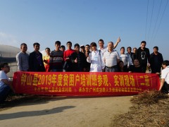 钟山县:培育扶贫特征产业  让农民脱贫有底气_贺州晋中市农业农村局网站