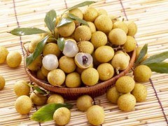 龙眼种植技术|进步龙眼花果率办法