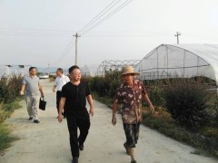 市农业乡村局 展开“迎大庆、保军运”农产质量量平安基地大巡查