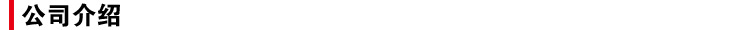 公司介绍