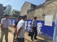 市农业乡村局调研阳新县陶港镇 森林防火任务