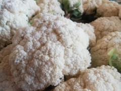 炒福建松花菜时，到底要不要先焯水？