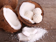 椰子 - 三亚特产