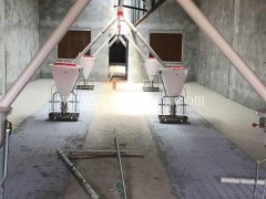 养猪设备哪家好-成都养猪设备-牧鑫养殖产品质优价廉(查看)