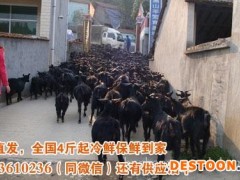 郴州邵阳永州黑山羊肉