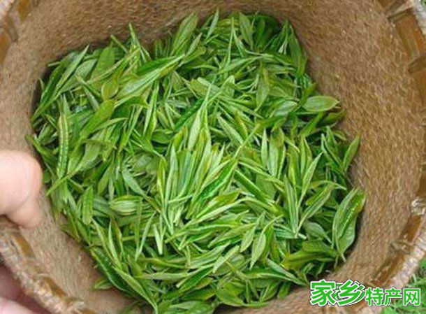 信阳毛尖 -河南信阳市特产