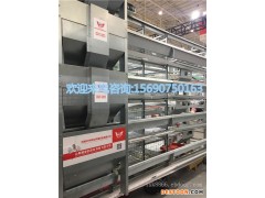 中州牧业蛋鸡笼养设备   层叠式自动化养鸡笼