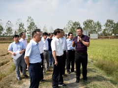 九江农业信息网,省政协在九江市永修县展开重要提案操持调研活动