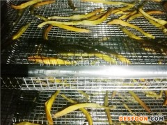 陕西黄花菜烘干设备-黄花菜烘干设备-河南国信机械(查看)