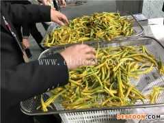 国信机械(图)-网带黄花菜烘干机器-黄花菜烘干机器