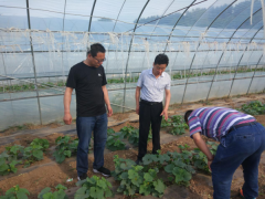 2019年承德晋中市执法支队“种植技术到田间、打造产业新方式、脱贫致富靠科学”