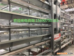 养鸡设备中州牧业定制养殖设备    多层层叠肉蛋鸡笼