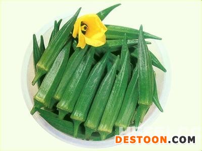 全国黄秋葵供应商基地/批发零售有机黄秋葵